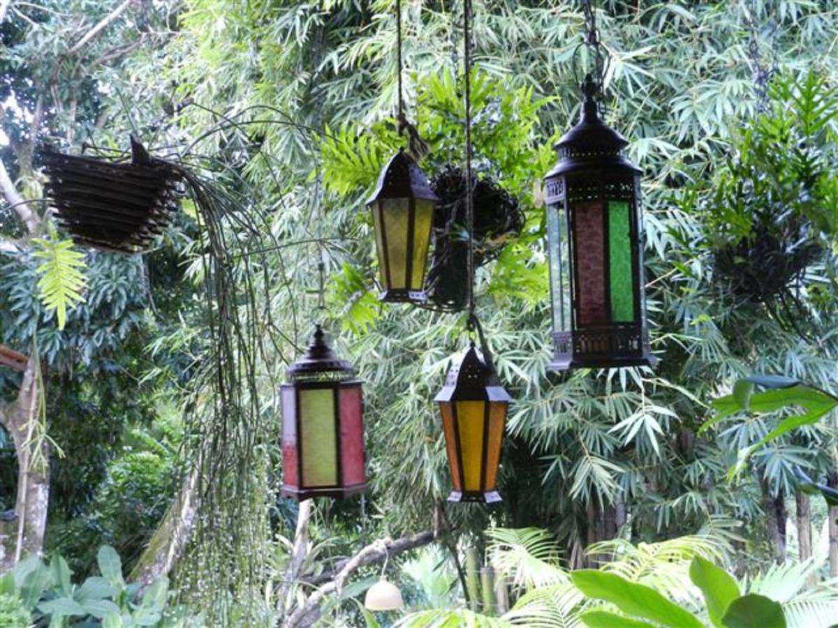 Sitio Alto Da Montanha - Voce Em Paz Com A Natureza Villa Pacoti Buitenkant foto