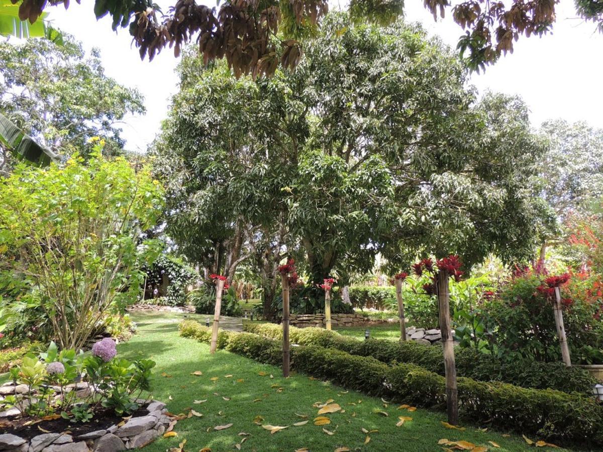 Sitio Alto Da Montanha - Voce Em Paz Com A Natureza Villa Pacoti Buitenkant foto