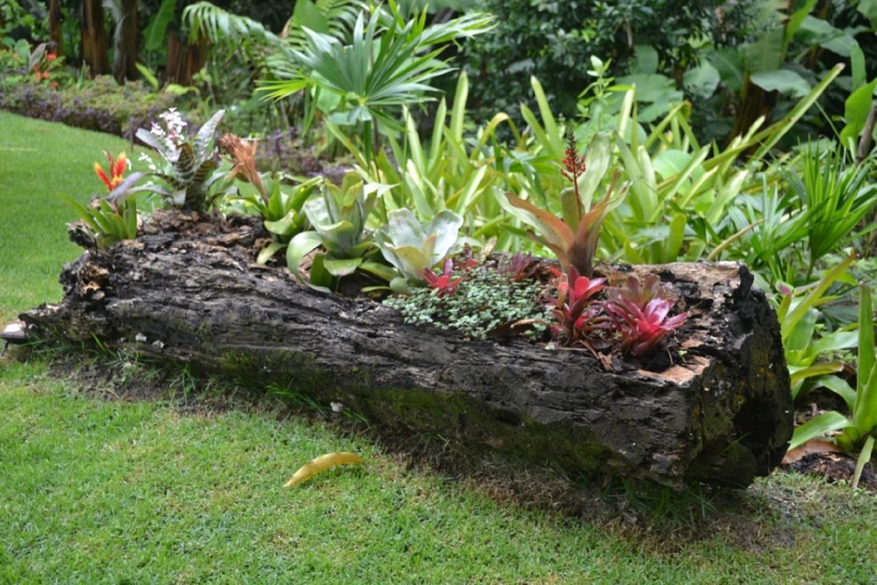 Sitio Alto Da Montanha - Voce Em Paz Com A Natureza Villa Pacoti Buitenkant foto