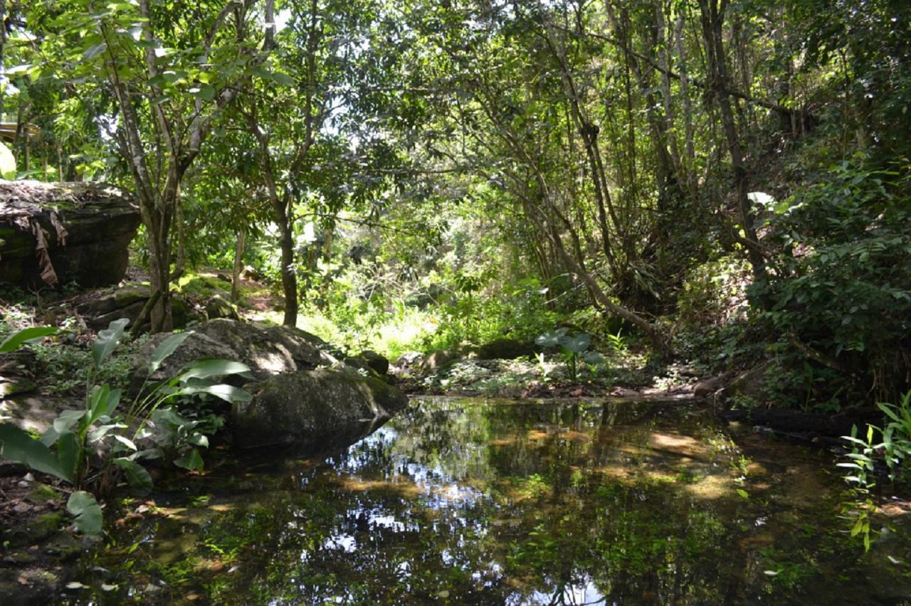 Sitio Alto Da Montanha - Voce Em Paz Com A Natureza Villa Pacoti Buitenkant foto